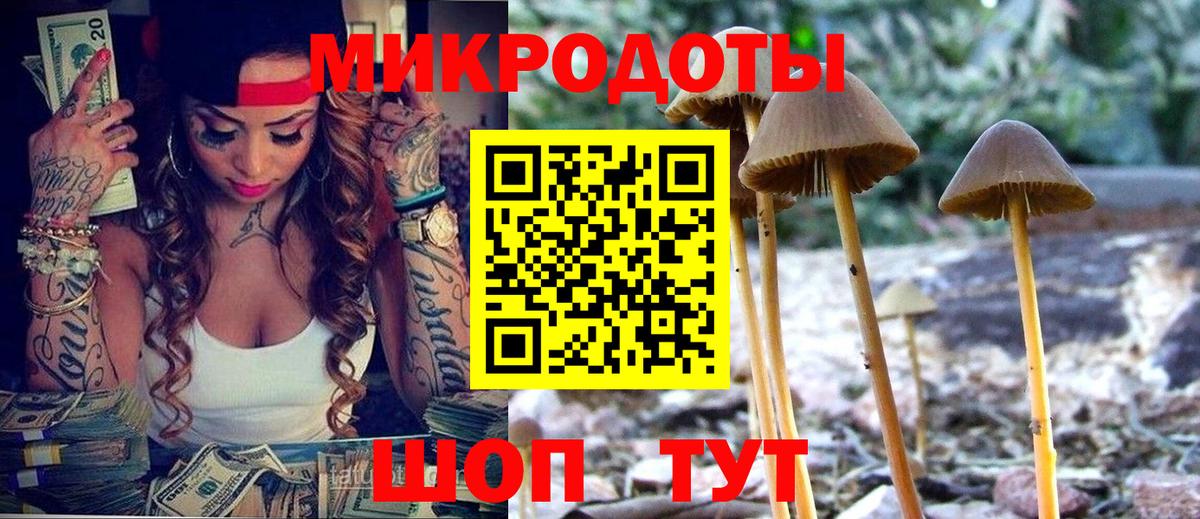 Псилоцибиновые грибы прущие грибы  магазин продажи   Избербаш  Вход с VPN 
